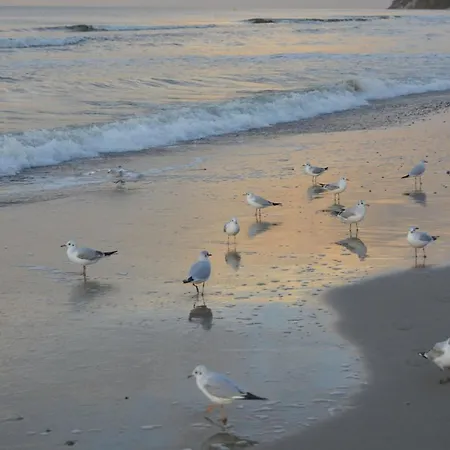 Апартаменты Sloneczny Brzeg