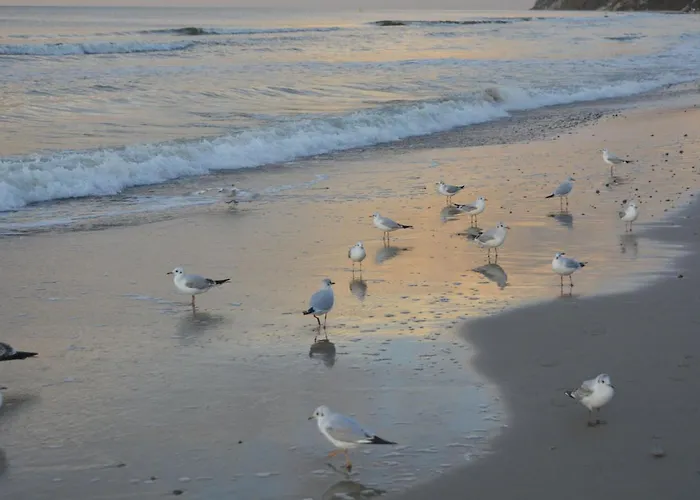 Apartament Słoneczny Brzeg